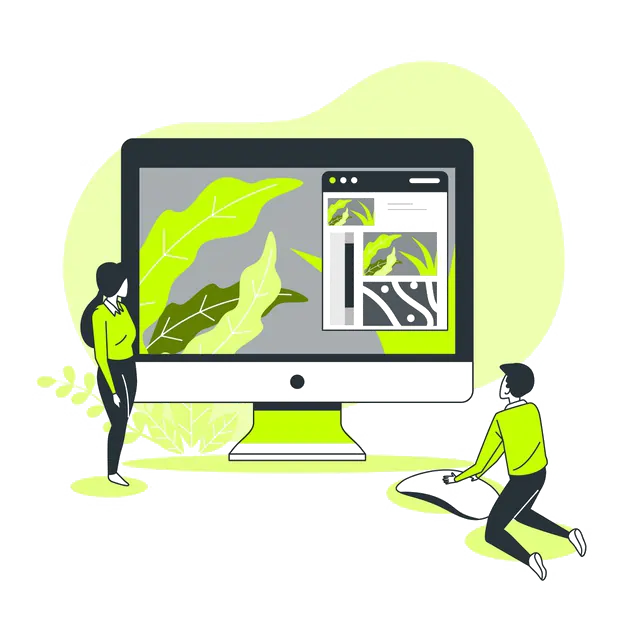 Website Design